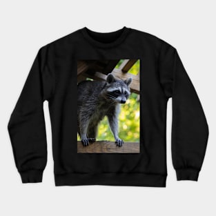 Pretty Raccoon Girl Crewneck Sweatshirt